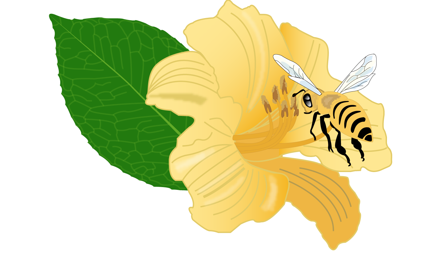 HOX Coding Hero Banner